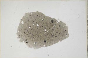 Plane Polarized, S6930