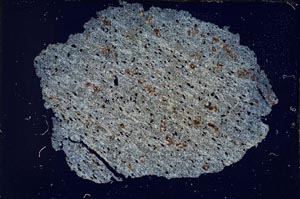 Cross Polarized, S6931