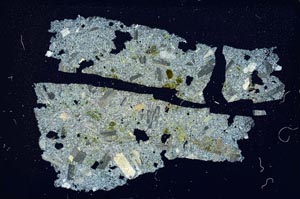 Cross Polarized, S6932