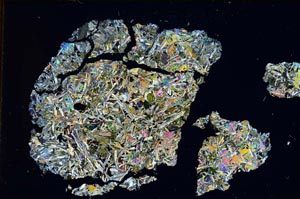 Cross Polarized, S6955