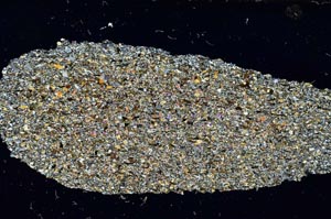 Cross Polarized, S6956