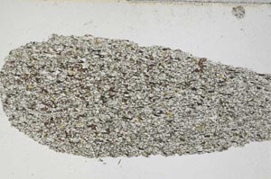 Plane Polarized, S6956