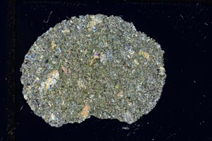 Cross Polarized, S6962