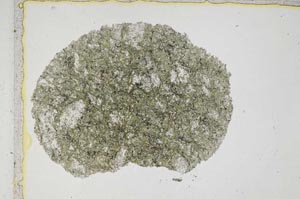 Plane Polarized, S6962