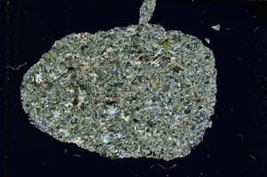 Cross Polarized, S6966