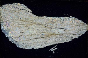 Cross Polarized, S7006