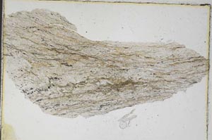 Plane Polarized, S7006