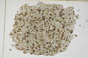 Plane Polarized, S7012