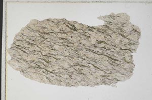 Plane Polarized, S7013