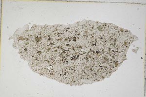 Plane Polarized, S7014