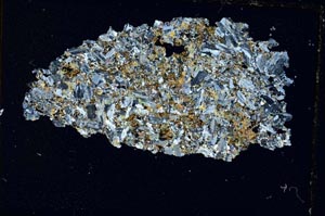 Cross Polarized, S7016