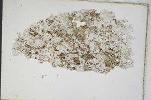 Plane Polarized, S7016