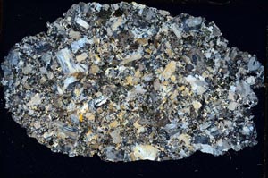 Cross Polarized, S7019