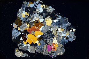 Cross Polarized, S7026