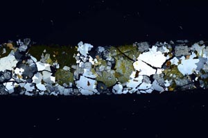 Cross Polarized, S7026/A