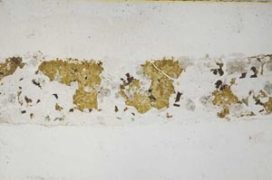 Plane Polarized, S7026/A