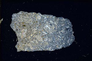 Cross Polarized, S7045