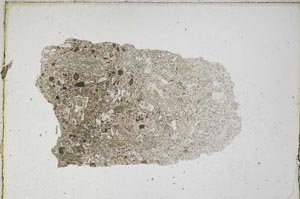 Plane Polarized, S7045