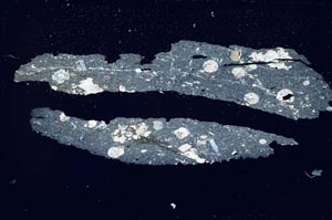 Cross Polarized, S7141