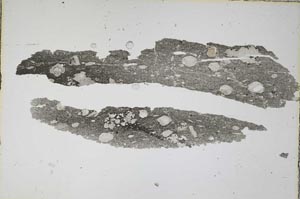 Plane Polarized, S7141