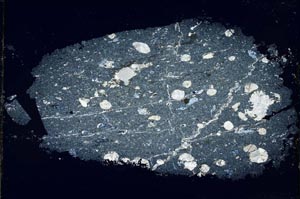 Cross Polarized, S7141/a