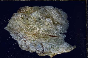 Cross Polarized, S7153