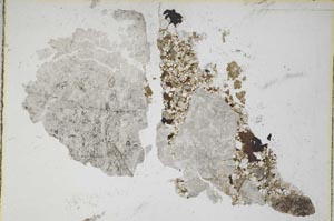 Plane Polarized, S7154