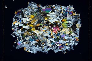 Cross Polarized, S7186