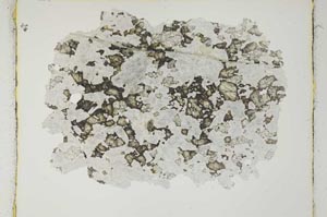 Plane Polarized, S7186