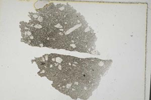 Plane Polarized, S7205