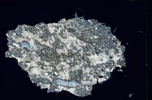 Cross Polarized, S7206