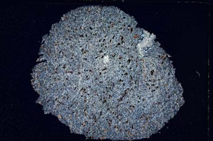 Cross Polarized, S7234