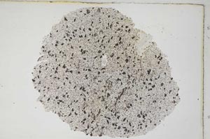 Plane Polarized, S7234