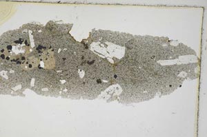 Plane Polarized, S7235