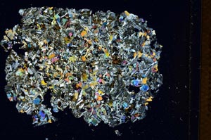 Cross Polarized, S7237