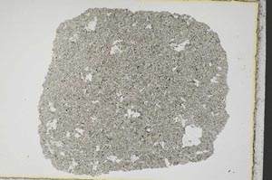 Plane Polarized, S7239