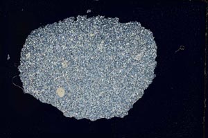 Cross Polarized, S7248