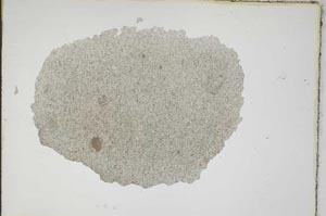 Plane Polarized, S7248