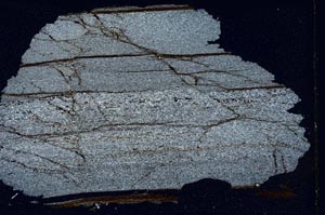 Cross Polarized, S7262