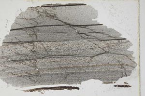 Plane Polarized, S7262