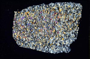 Cross Polarized, S7291