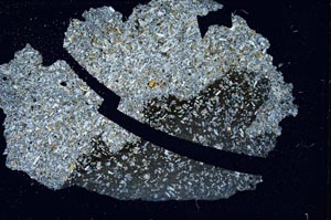 Cross Polarized, S7315