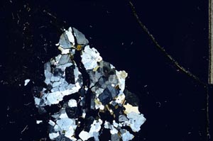 Cross Polarized, S7317