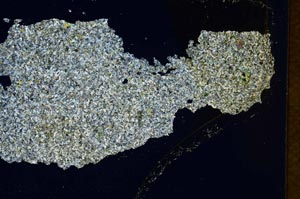 Cross Polarized, S7328