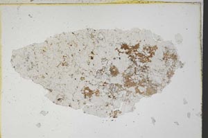 Plane Polarized, S7329