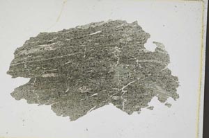 Plane Polarized, S7377