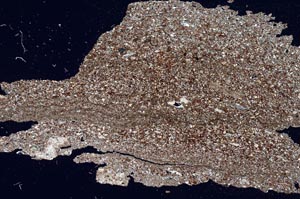 Cross Polarized, S7378