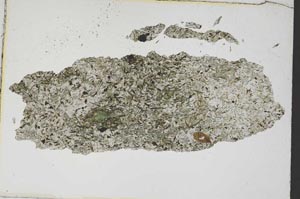 Plane Polarized, S7382