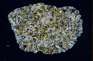 Cross Polarized, S7386