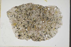 Plane Polarized, S7386